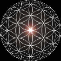Spherized Flower of Life Pattern {2-d Rep of Omni-Dimensional 'Master Key Template of Divinity'}