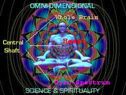 Human Being Surrounded By 'Bio-ElectroMagnetic Field' 12 Petaled Lotus Awakened From Within Heart Representing Original Intended Blueprint - 12 DNA Strand Mandala