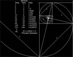 The Fibonacci Spiral When Overlaid On The Giza Pyramid points To The Heart of O'rion